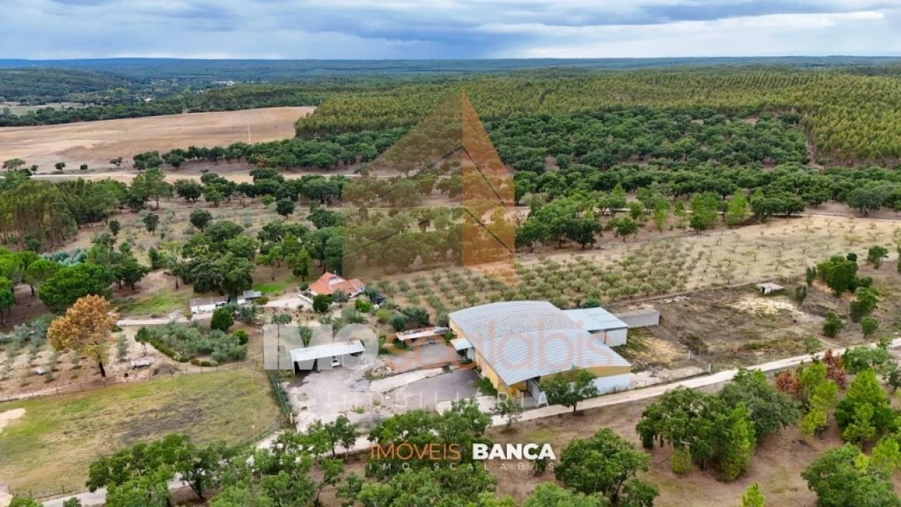 Armazém para Venda em Parreira e Chouto Foto 2