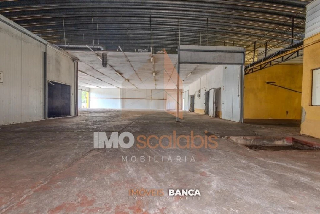 Armazém para Venda em Parreira e Chouto Foto 21