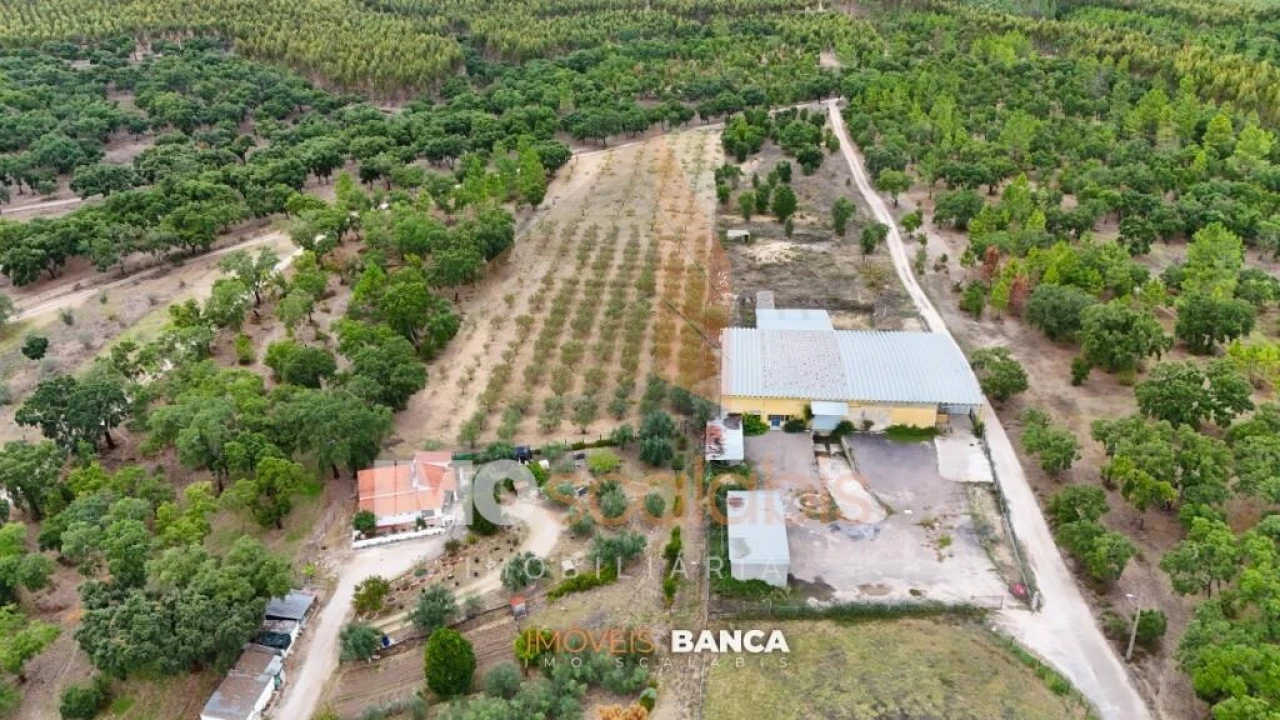 Armazém para Venda em Parreira e Chouto Foto 1