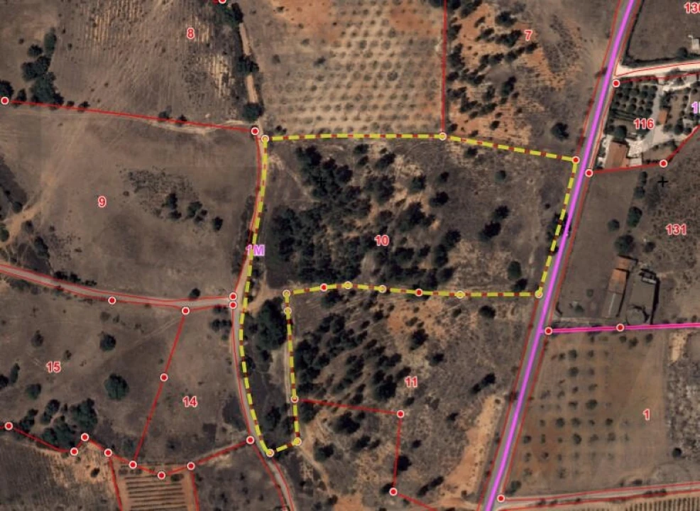 Terreno para Venda em Alcantarilha e Pêra Foto 1