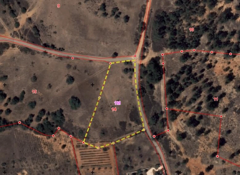 Terreno para Venda em Alcantarilha e Pêra Foto 2