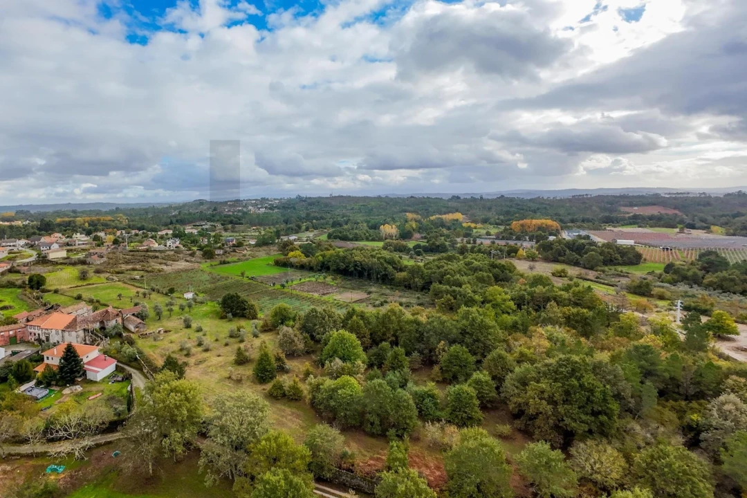 Quinta T3 para Venda em Romãs, Decermilo e Vila Longa Foto 16