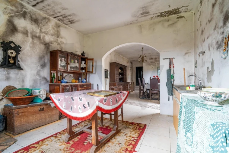 Quinta T3 para Venda em Romãs, Decermilo e Vila Longa Foto 44