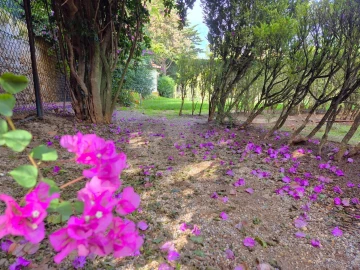 Moradia T12 para Venda em Cascais e Estoril