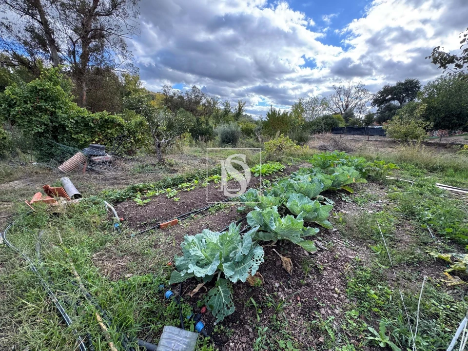 Moradia T3 para Venda em Ponte de Sor, Tramaga e Vale de Açor Foto 27