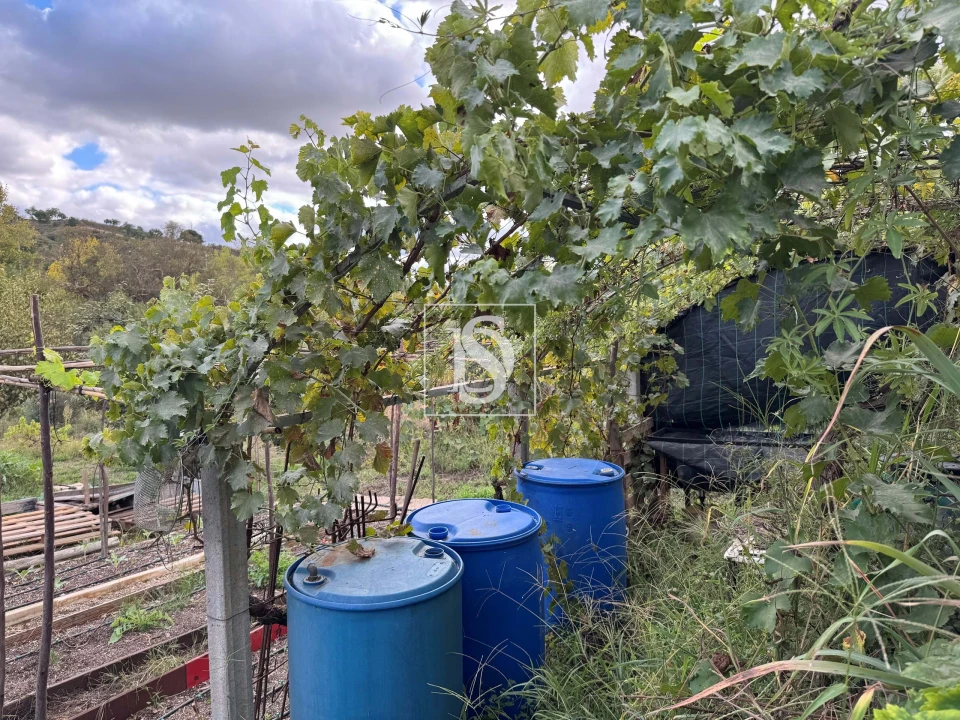 Moradia T3 para Venda em Ponte de Sor, Tramaga e Vale de Açor Foto 33