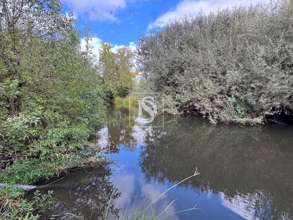Moradia T3 para Venda em Ponte de Sor, Tramaga e Vale de Açor Foto 30