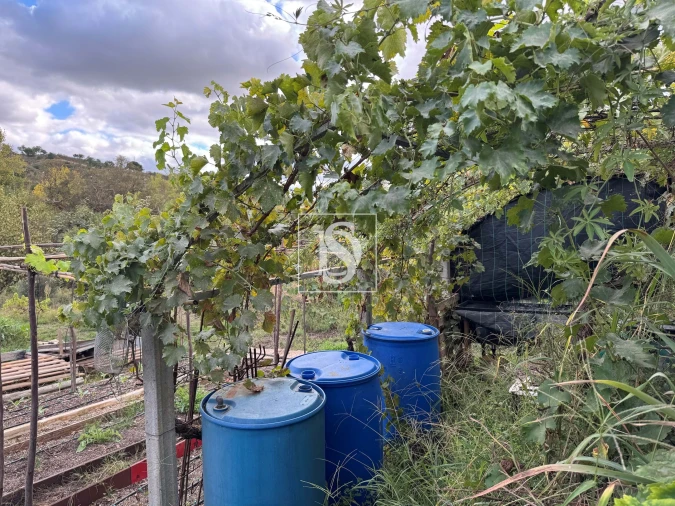 Moradia T3 para Venda em Ponte de Sor, Tramaga e Vale de Açor Foto 33
