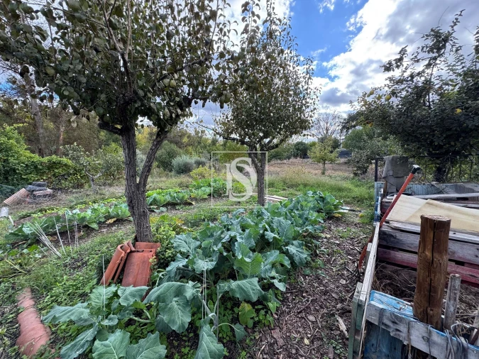 Moradia T3 para Venda em Ponte de Sor, Tramaga e Vale de Açor Foto 25