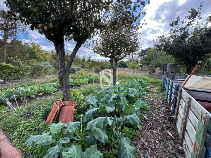 Moradia T3 para Venda em Ponte de Sor, Tramaga e Vale de Açor Foto 26