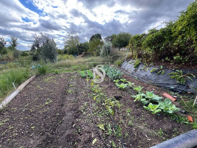 Moradia T3 para Venda em Ponte de Sor, Tramaga e Vale de Açor Foto 28