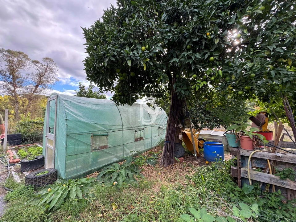 Moradia T3 para Venda em Ponte de Sor, Tramaga e Vale de Açor Foto 23