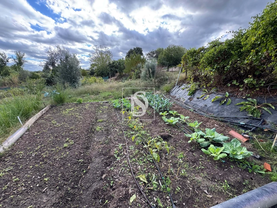 Moradia T3 para Venda em Ponte de Sor, Tramaga e Vale de Açor Foto 28
