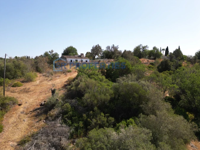 Terreno para Venda em Loule (São Clemente) Foto 2