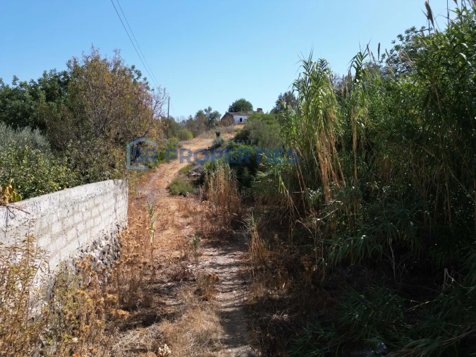 Terreno para Venda em Loule (São Clemente) Foto 11