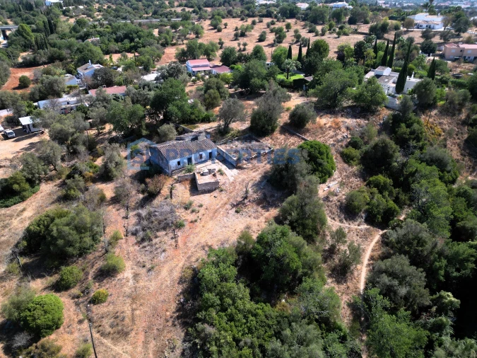 Terreno para Venda em Loule (São Clemente) Foto 13