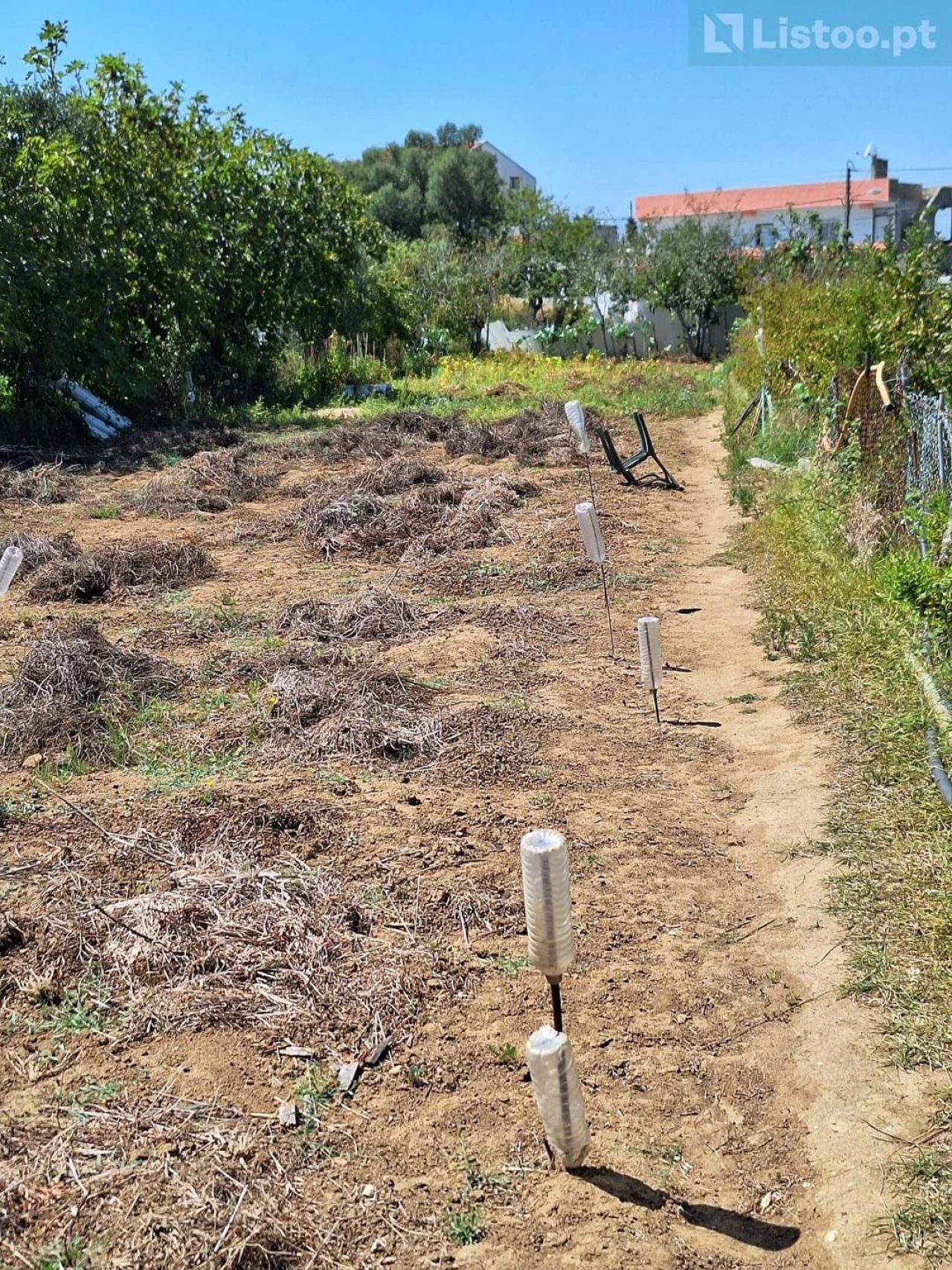 Terreno para Venda em Algueirão-Mem Martins Foto 15