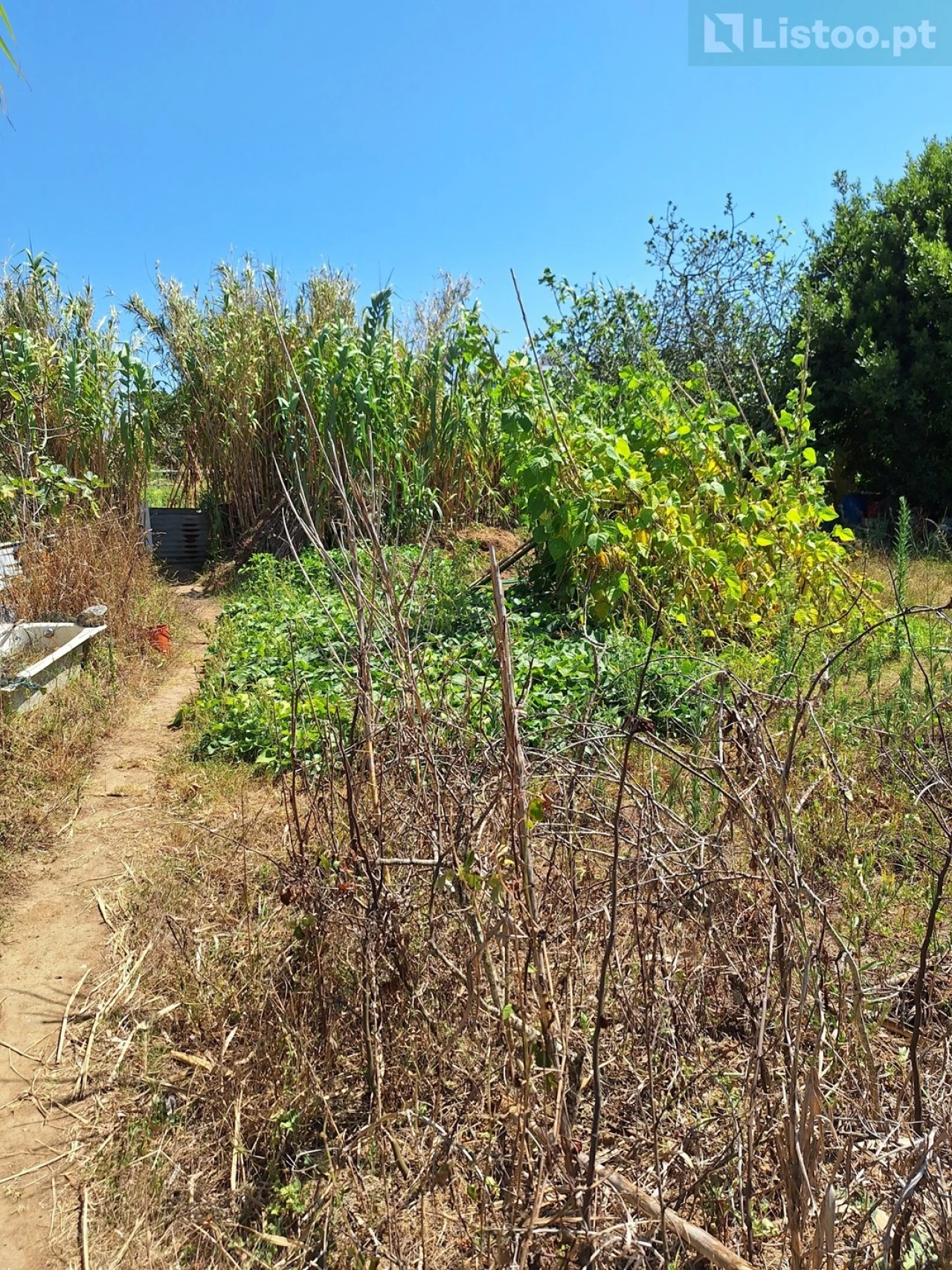 Terreno para Venda em Algueirão-Mem Martins Foto 21