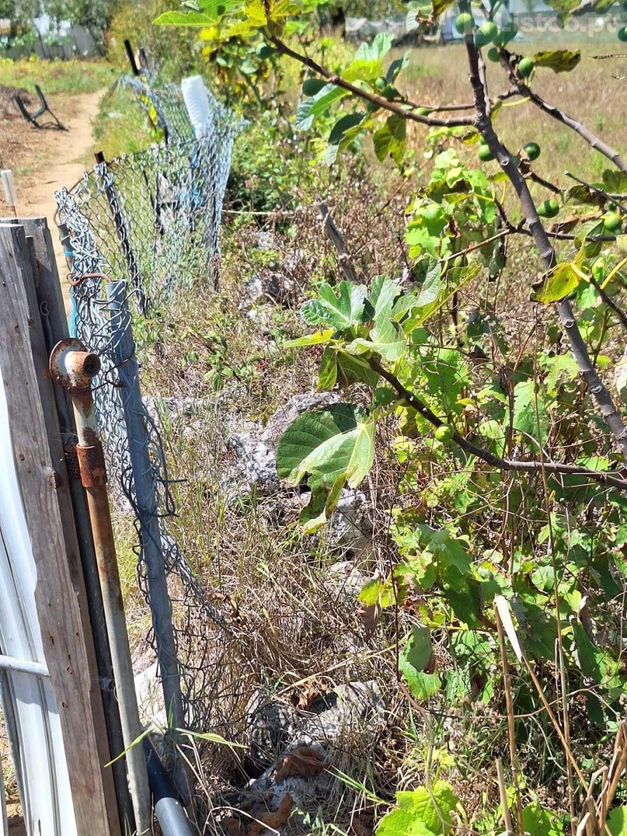 Terreno para Venda em Algueirão-Mem Martins Foto 18