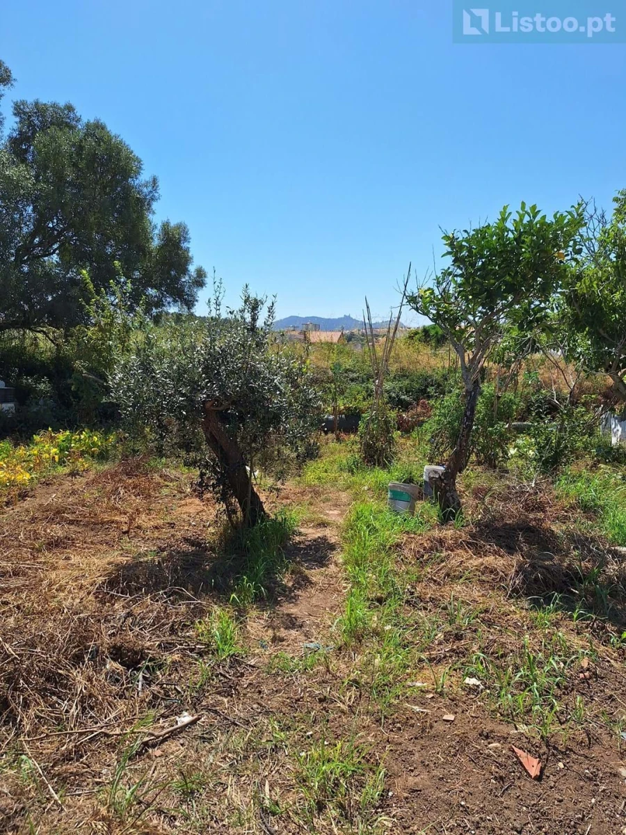 Terreno para Venda em Algueirão-Mem Martins Foto 11