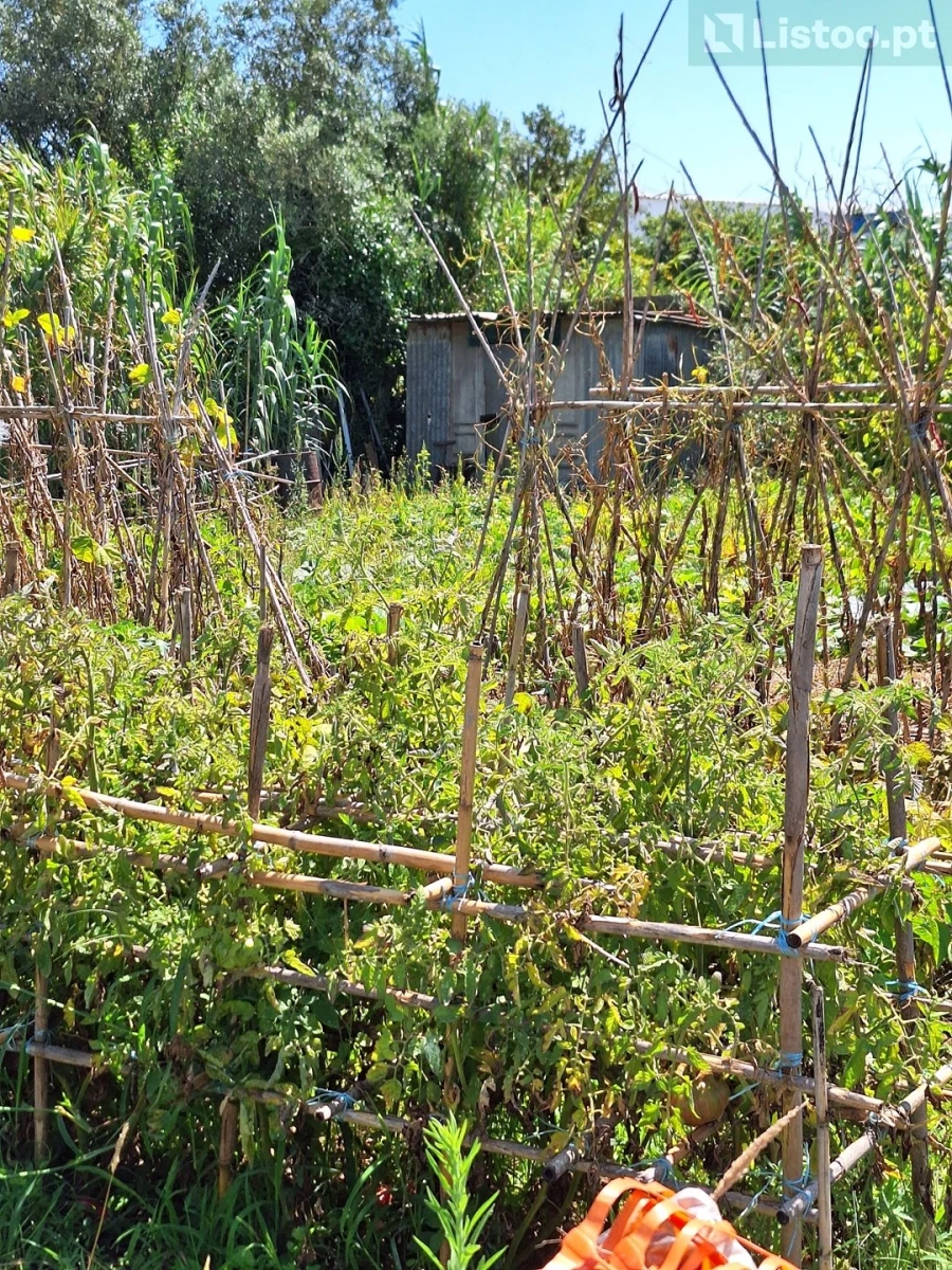 Terreno para Venda em Algueirão-Mem Martins Foto 20
