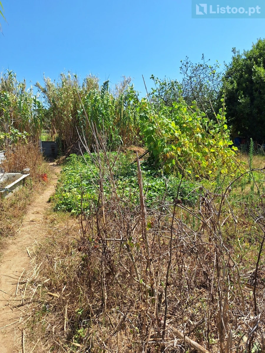 Terreno para Venda em Algueirão-Mem Martins Foto 21