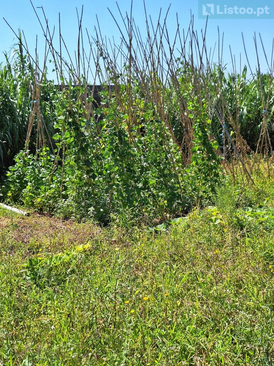 Terreno para Venda em Algueirão-Mem Martins Foto 29