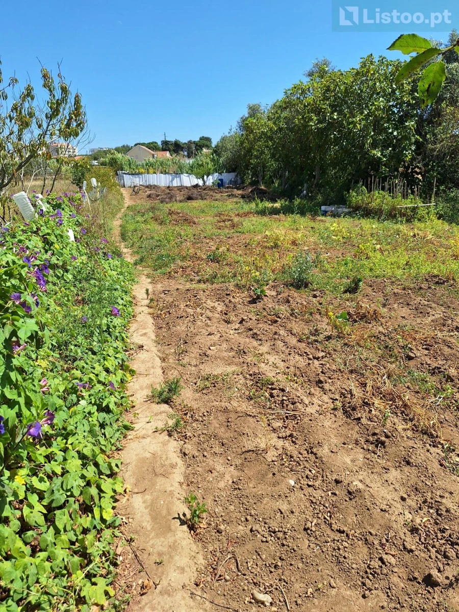 Terreno para Venda em Algueirão-Mem Martins Foto 13