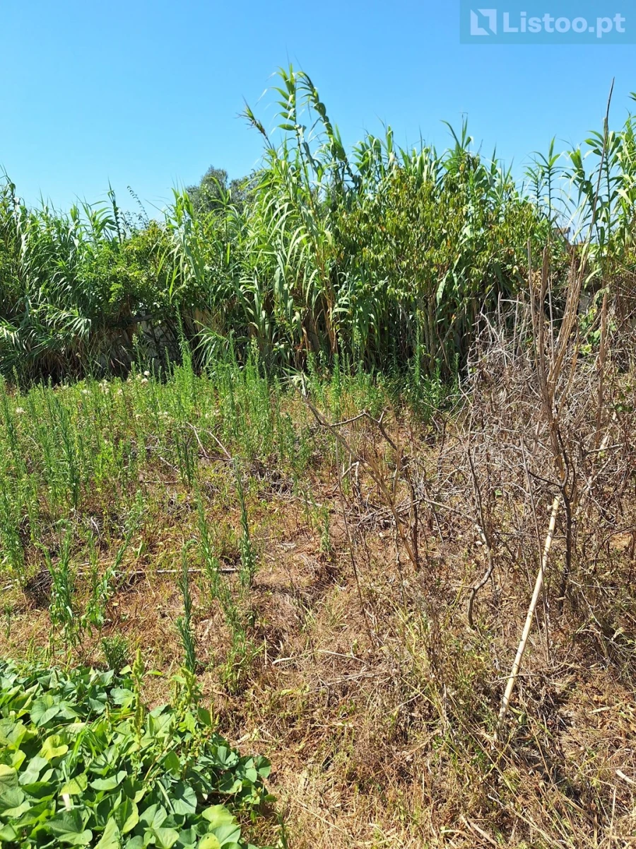 Terreno para Venda em Algueirão-Mem Martins Foto 22