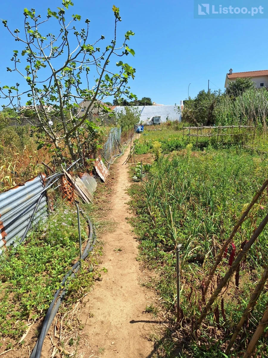 Terreno para Venda em Algueirão-Mem Martins Foto 24
