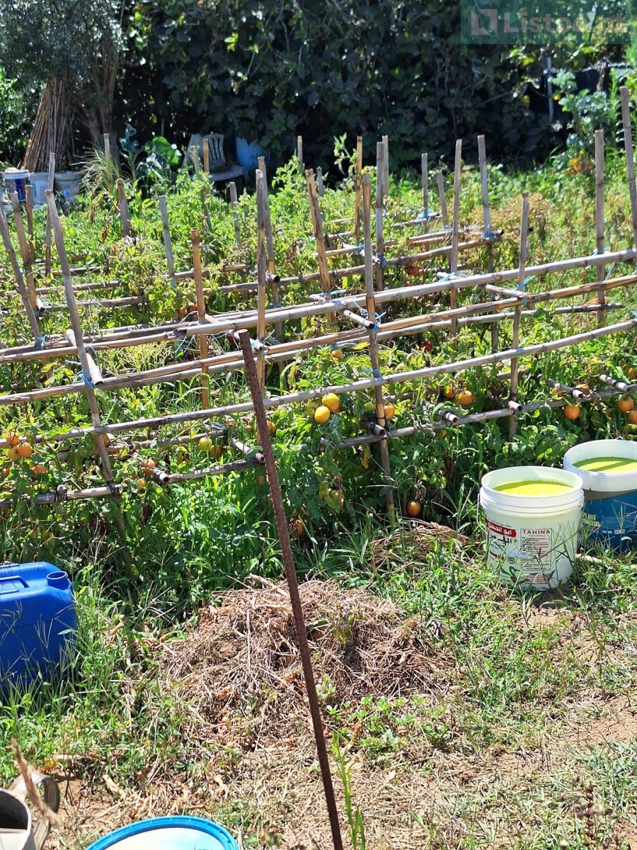 Terreno para Venda em Algueirão-Mem Martins Foto 19
