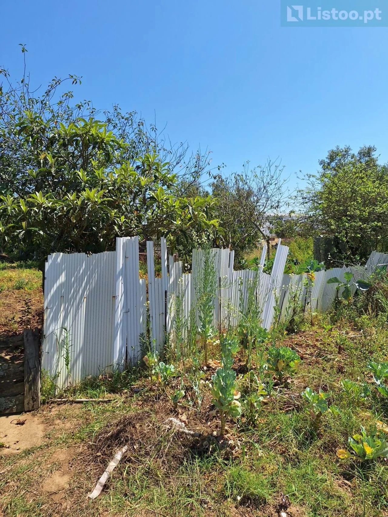 Terreno para Venda em Algueirão-Mem Martins Foto 12