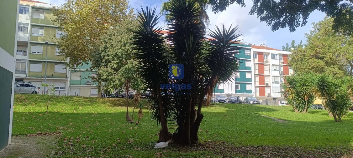 Apartamento T2 para Venda em Benfica Foto 26