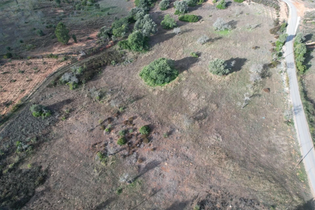 Terreno para Venda em Silves Foto 11