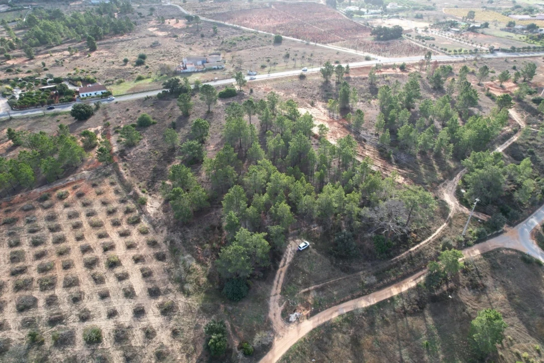 Terreno para Venda em Silves Foto 4