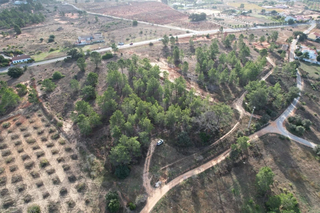 Terreno para Venda em Silves Foto 5