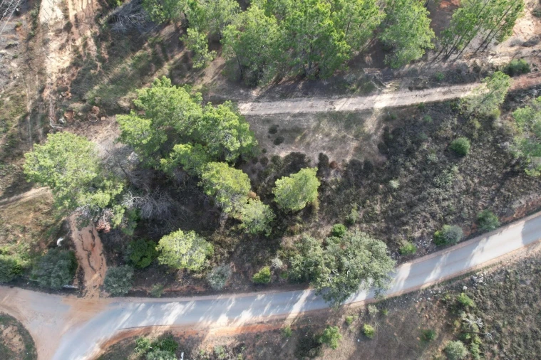 Terreno para Venda em São Silvestre Foto 10