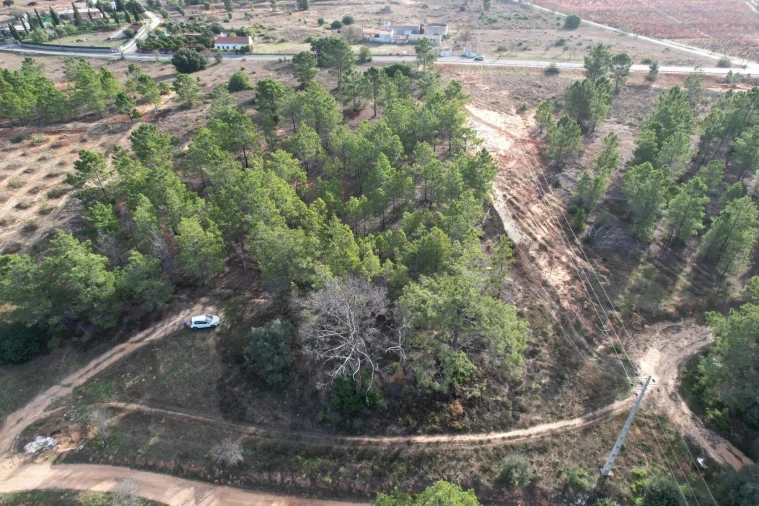 Terreno para Venda em São Silvestre Foto 6