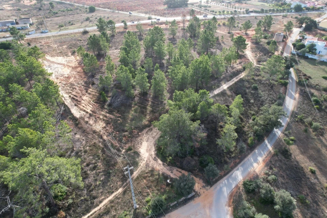 Terreno para Venda em Silves Foto 8