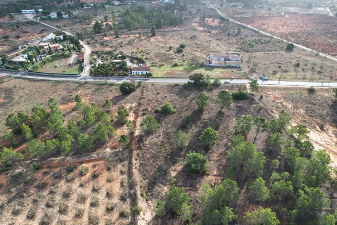 Terreno para Venda em Silves Foto 3