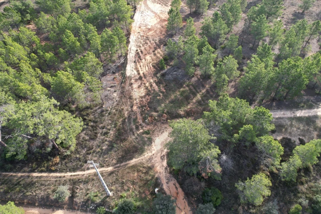 Terreno para Venda em Silves Foto 9