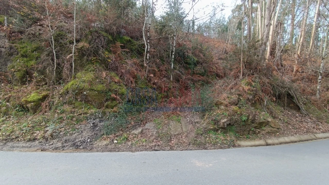 Terreno para Venda em Sobradelo da Goma Foto 5