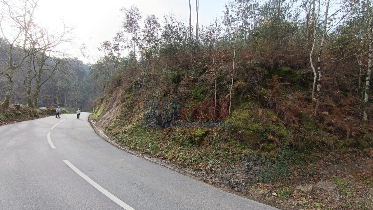 Terreno para Venda em Sobradelo da Goma Foto 9
