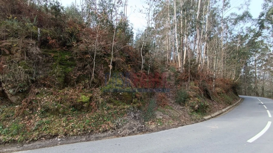 Terreno para Venda em Sobradelo da Goma Foto 7