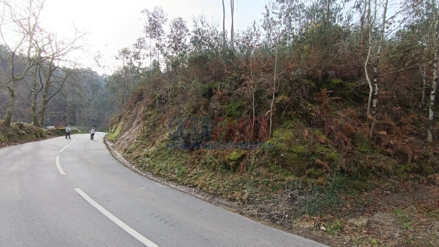 Terreno para Venda em Sobradelo da Goma Foto 9