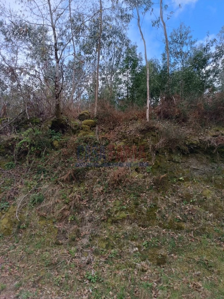 Terreno para Venda em Sobradelo da Goma Foto 11