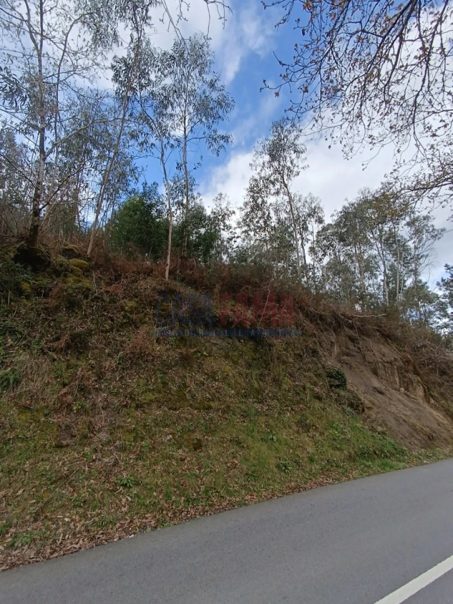 Terreno para Venda em Sobradelo da Goma Foto 12