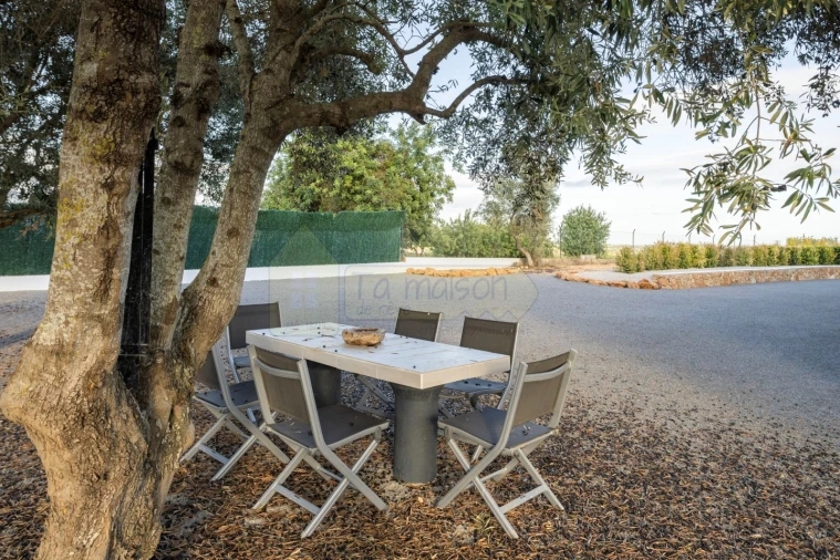 Moradia T4 para Venda em Conceição e Estoi Foto 51