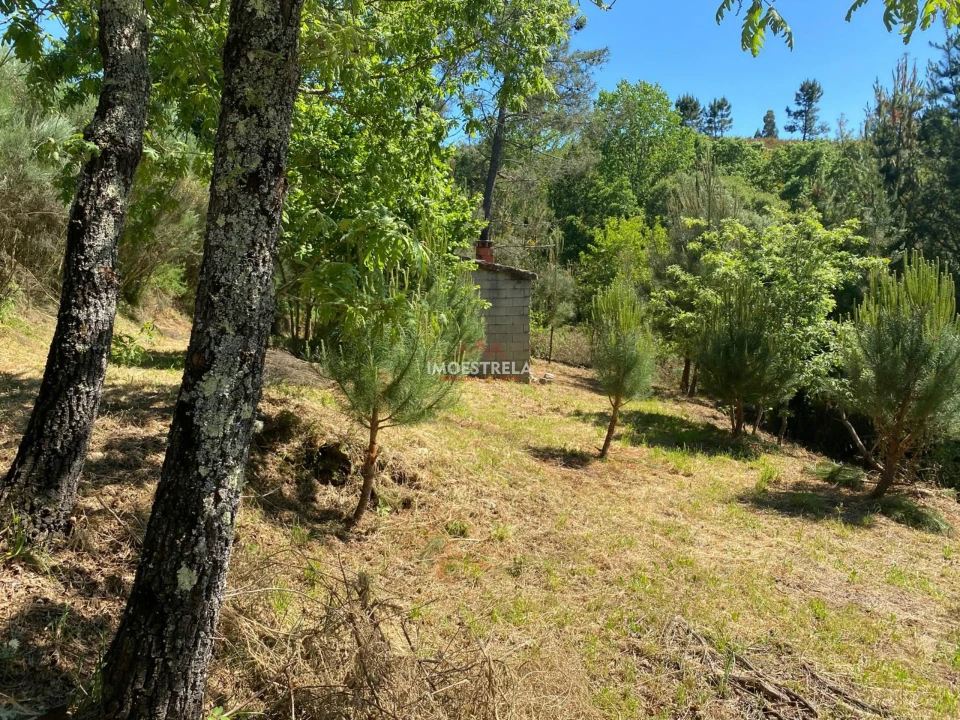 Quinta T0 para Venda em Carragozela e Várzea de Meruge Foto 3