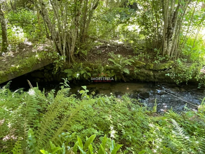 Quinta T0 para Venda em Carragozela e Várzea de Meruge Foto 6